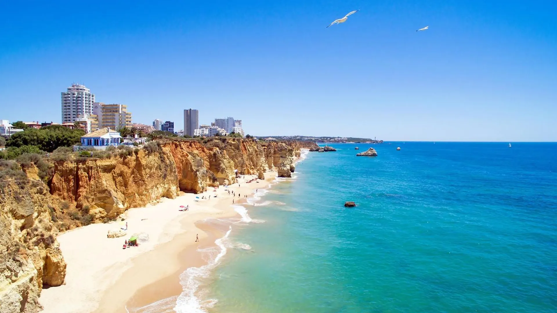 B25 - Candimar Beach Apartment Portimao